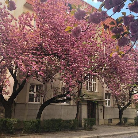Апарт-Отель "Галаговъ" Uzhhorod Exterior foto